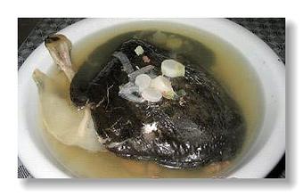 升麻鳖甲汤