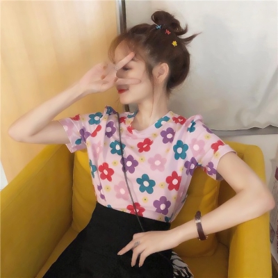 狐狸也爱玩纸牌