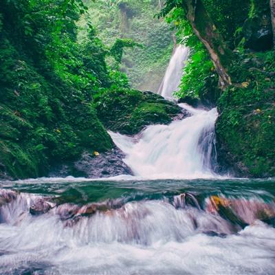 黄色小蝌蚪成人免费