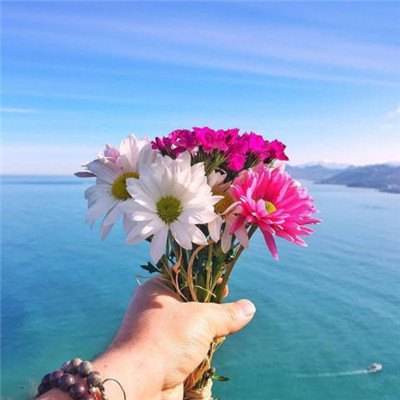 时髦朵拉大装扮
