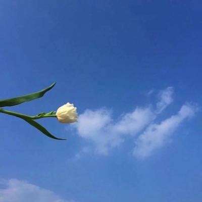 见证者中的数学原理