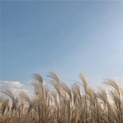 国家卫星气象中心：今明两年为太阳活动高峰年