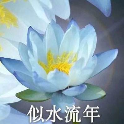曾经困惑的烦恼，我终于跨过啦！