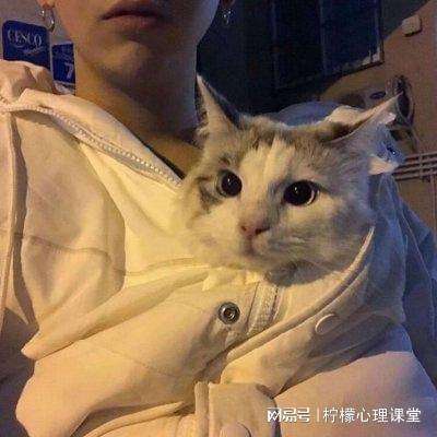 小可爱投篮
