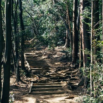 山路极速飘移无敌版