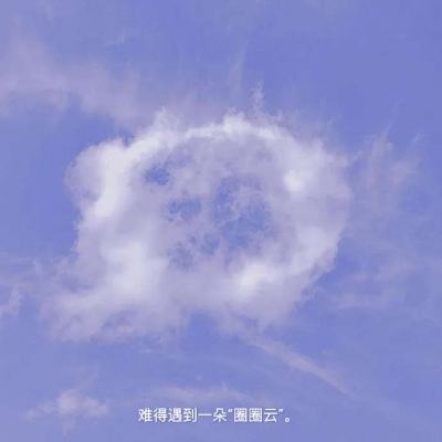 森林之秘