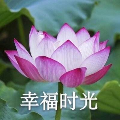 米尔基于STM32MP135开发板裸机开发应用笔记...