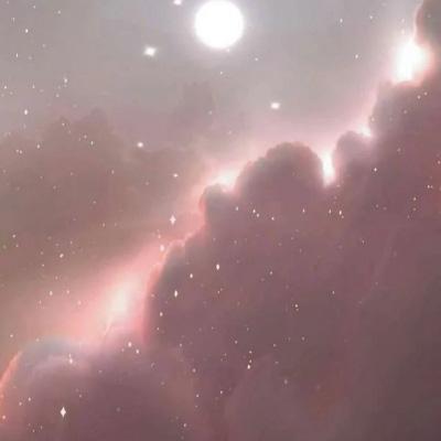 探长薇拉第六季