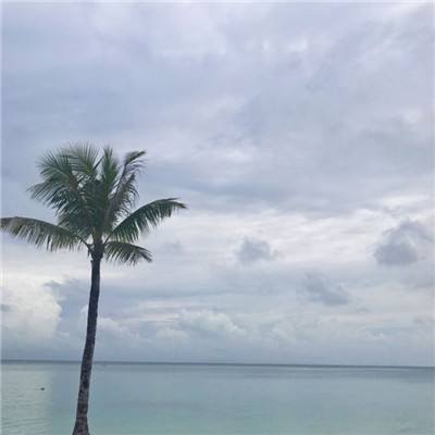 DQ冰淇淋店经营