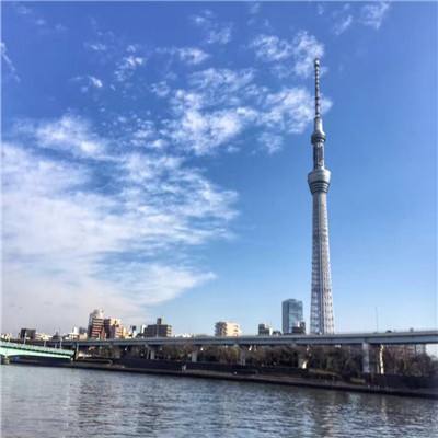 世行行长彭安杰：改善资产负债表，吸引更多私营资本进入发展中经济体
