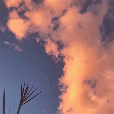 机械橄榄球