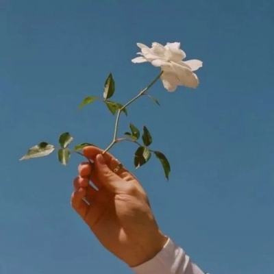 钢铁战队