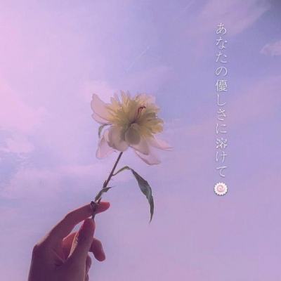 少年骇客高速滑板