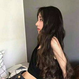 游乐高尔夫