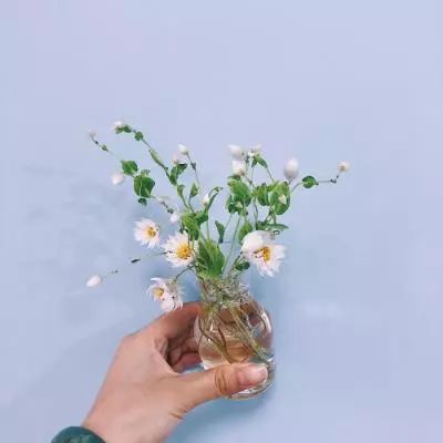 交换人生
