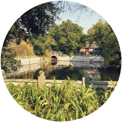 阿姐鼓2明王咒