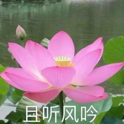 命运冠位指定