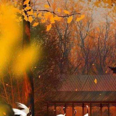 雄激素与性别差异性疾病的发生发展机制有何关系？上海科学家解析