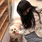 庥豆.蜜桃.91.天美.果冻免费入口