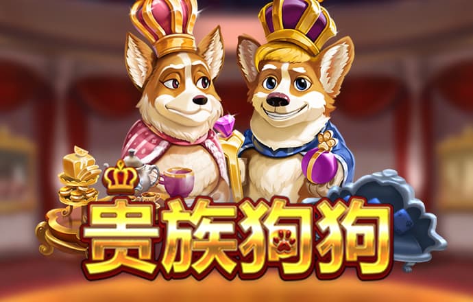 r星每日校园大赛网页版
